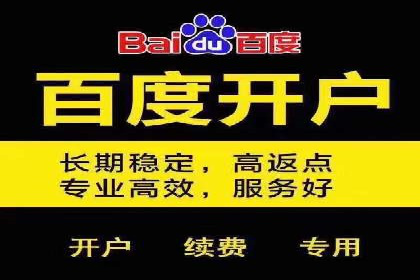 SEM代运营经典案例解析与启示