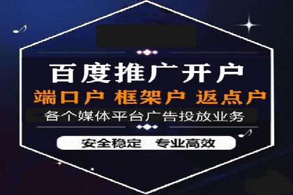 百度推广全攻略：成功案例剖析
